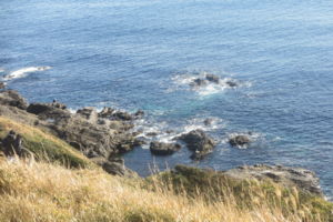 f:id:biso:20150203071120j:image