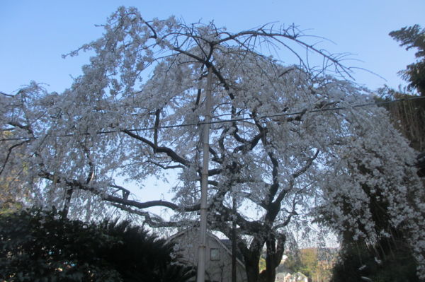 20150401070702