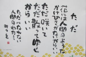 f:id:biso:20150519071127j:image