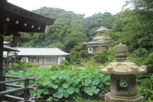 f:id:biso:20150731071433j:image