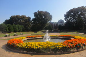 f:id:biso:20151029071044j:image