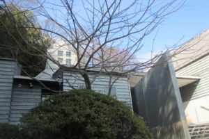 f:id:biso:20160109074745j:image