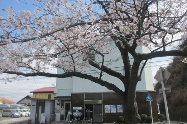 f:id:biso:20160330070410j:image