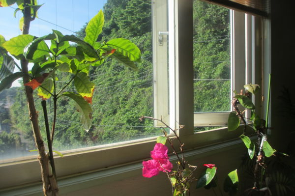 f:id:biso:20160518073542j:image