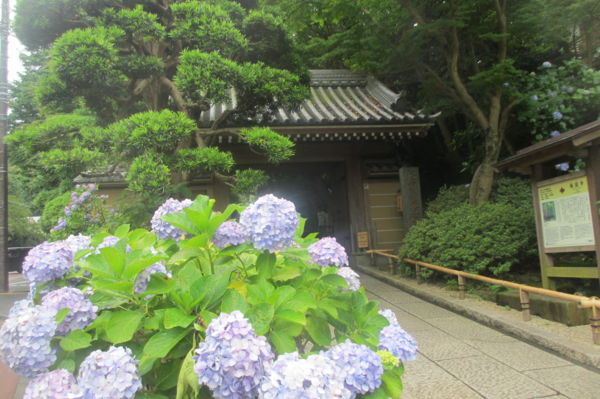 f:id:biso:20160630071028j:image