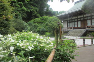 f:id:biso:20160630071112j:image