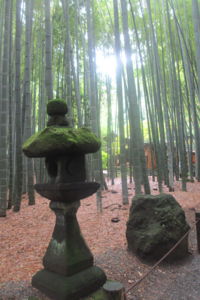 f:id:biso:20160630071631j:image