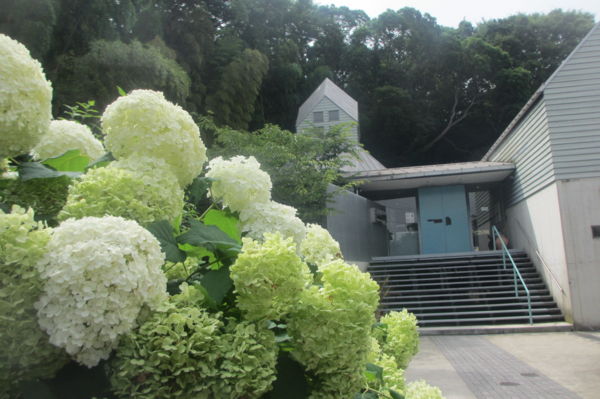 f:id:biso:20160701070910j:image