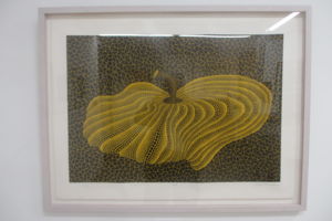 f:id:biso:20160701071445j:image