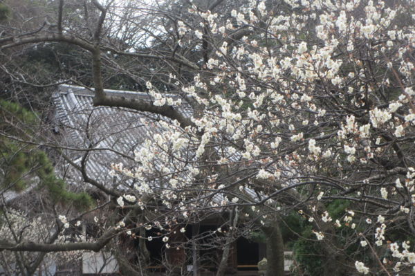 f:id:biso:20170221070654j:image