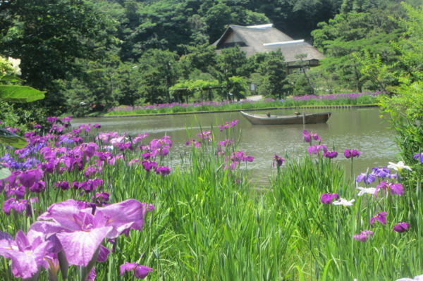 f:id:biso:20170606065530j:image
