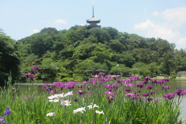 f:id:biso:20170606065604j:image
