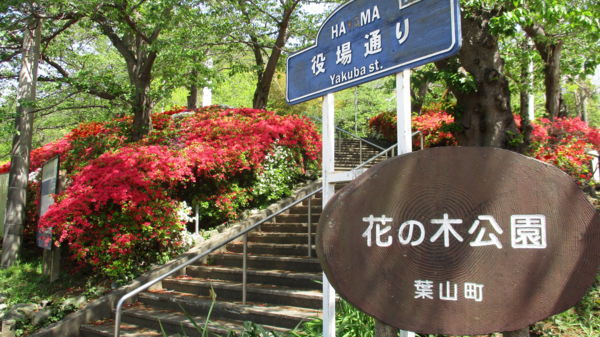 f:id:biso:20180417070218j:image