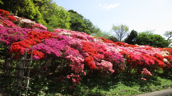 f:id:biso:20180417070842j:image
