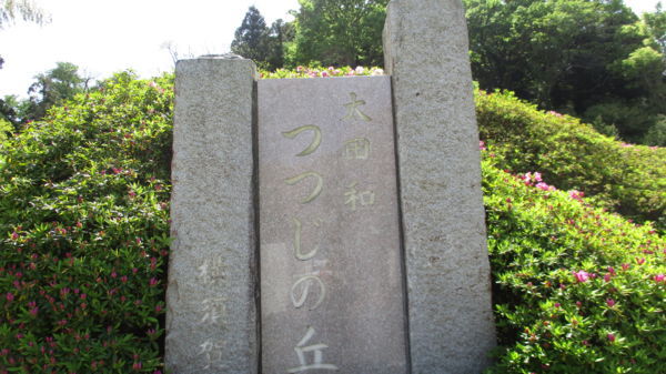 f:id:biso:20180417071112j:image