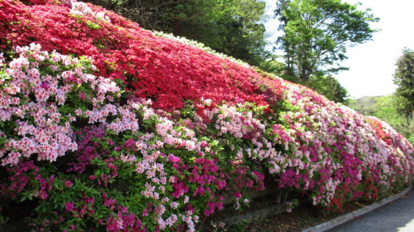 f:id:biso:20180417071305j:image