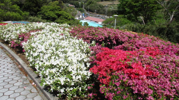 f:id:biso:20180417071659j:image