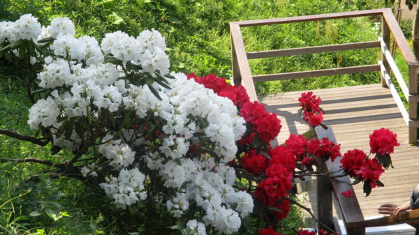 f:id:biso:20180423072634j:image