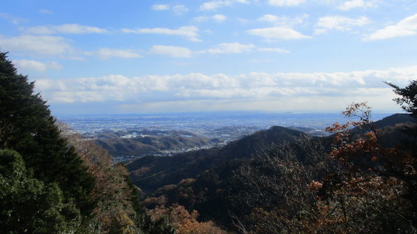 f:id:biso:20181209085815j:image