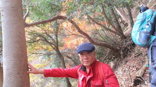 f:id:biso:20181209090123j:image