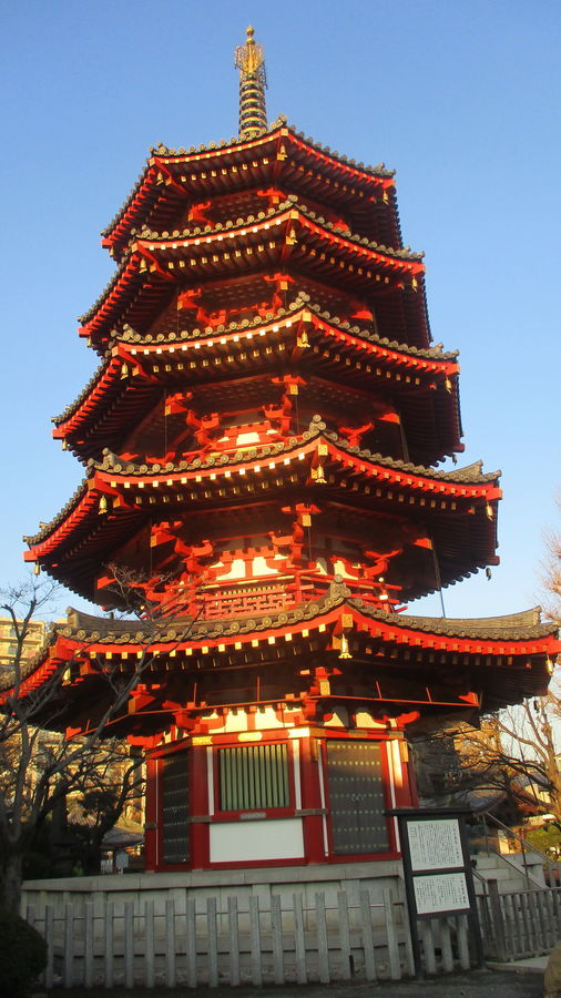 f:id:biso:20181218070853j:image