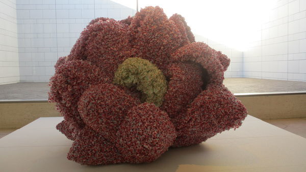 f:id:biso:20181220071436j:image