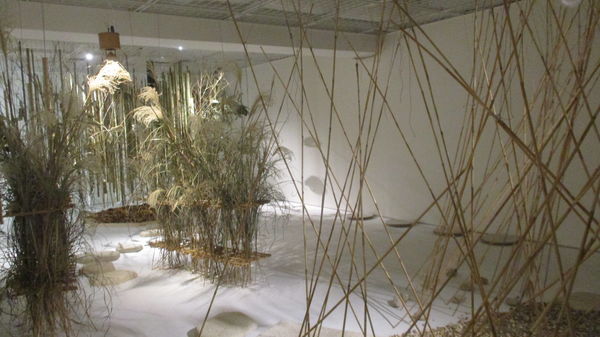 f:id:biso:20181221093911j:image