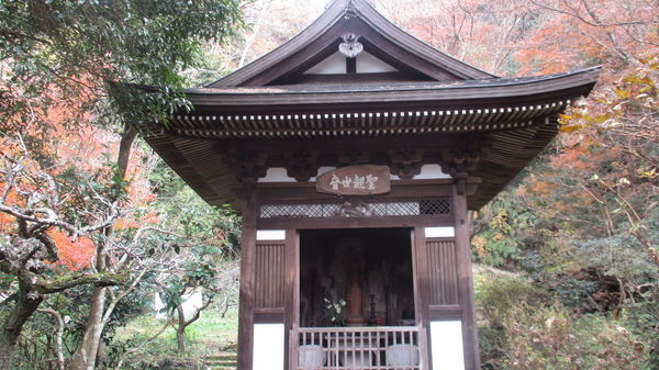 f:id:biso:20181226071431j:image