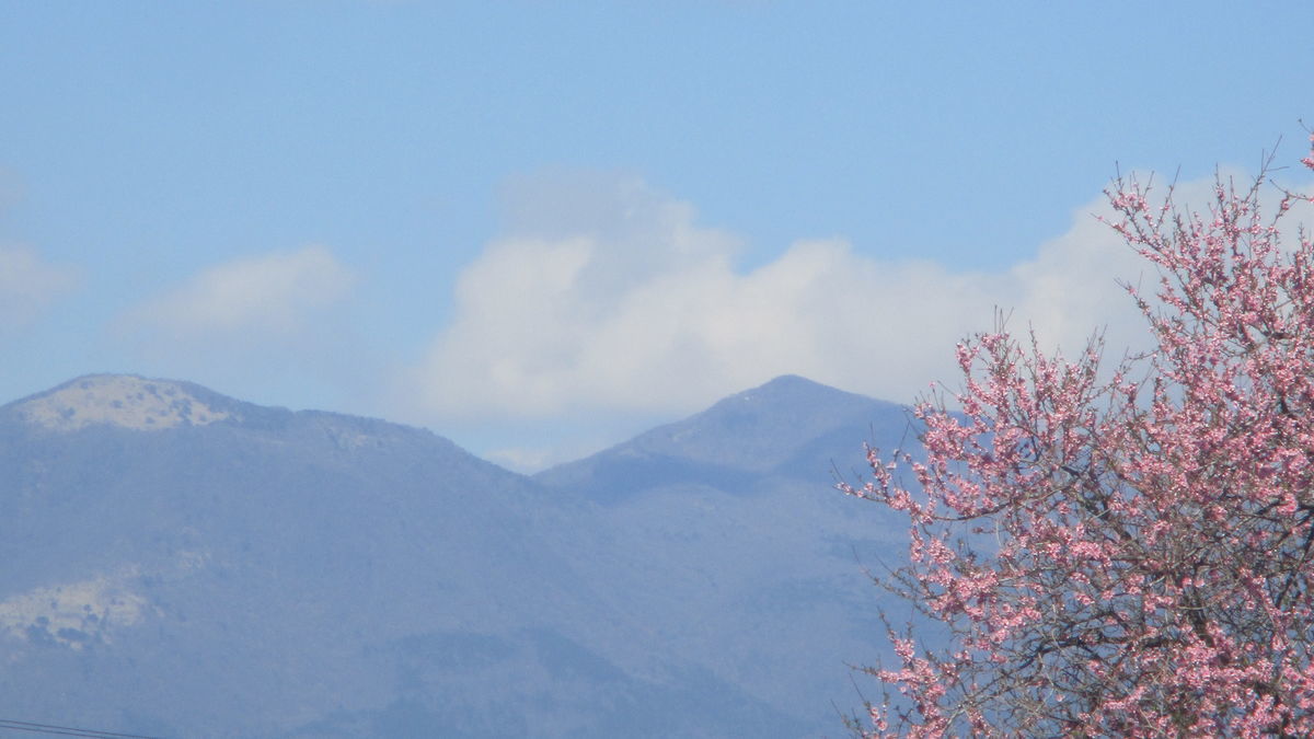 f:id:biso:20190325071229j:plain