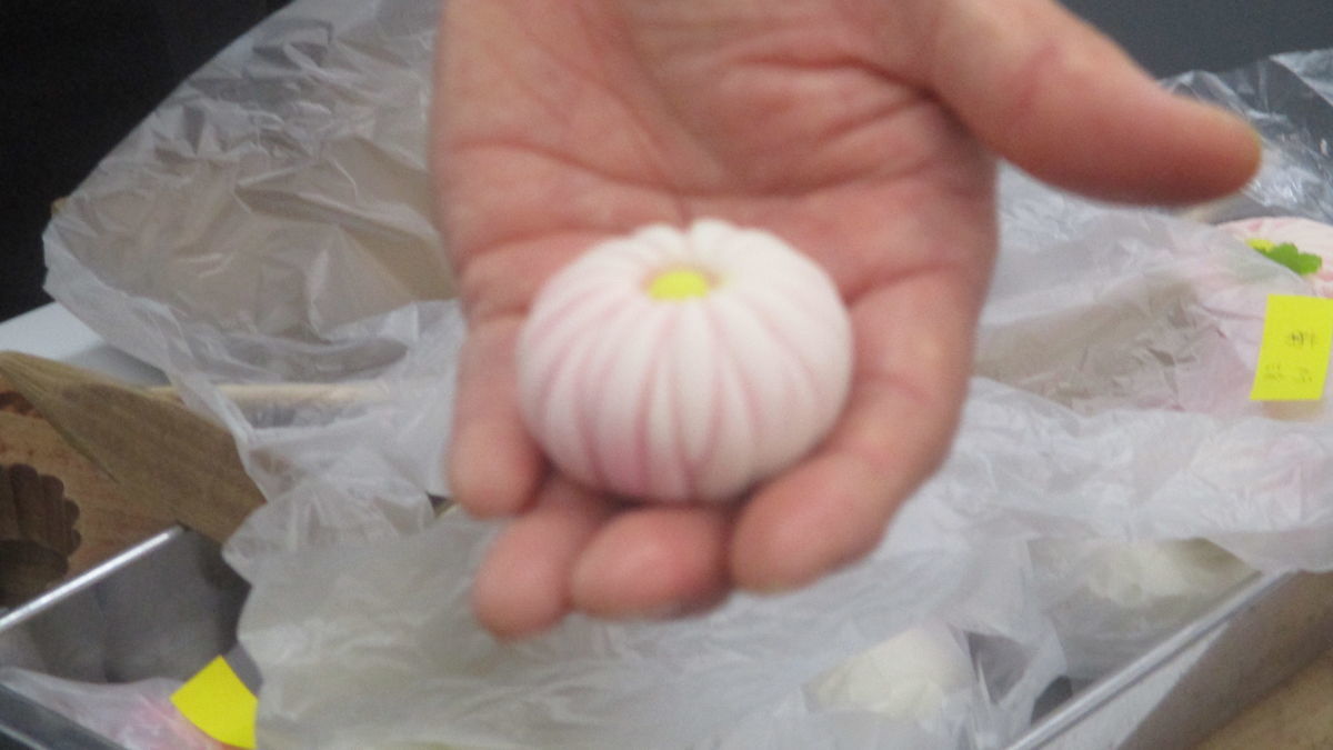 f:id:biso:20190329070315j:plain