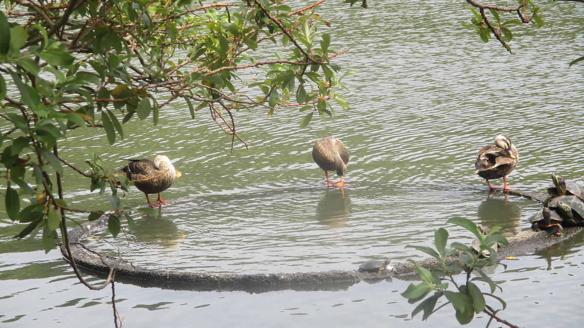 f:id:biso:20190822070813j:plain