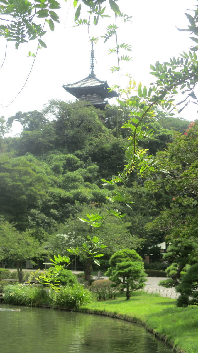 f:id:biso:20190822070932j:plain