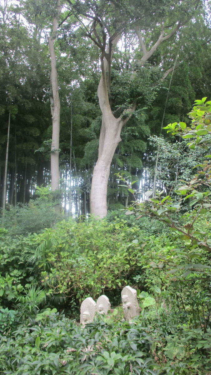 f:id:biso:20190823072800j:plain