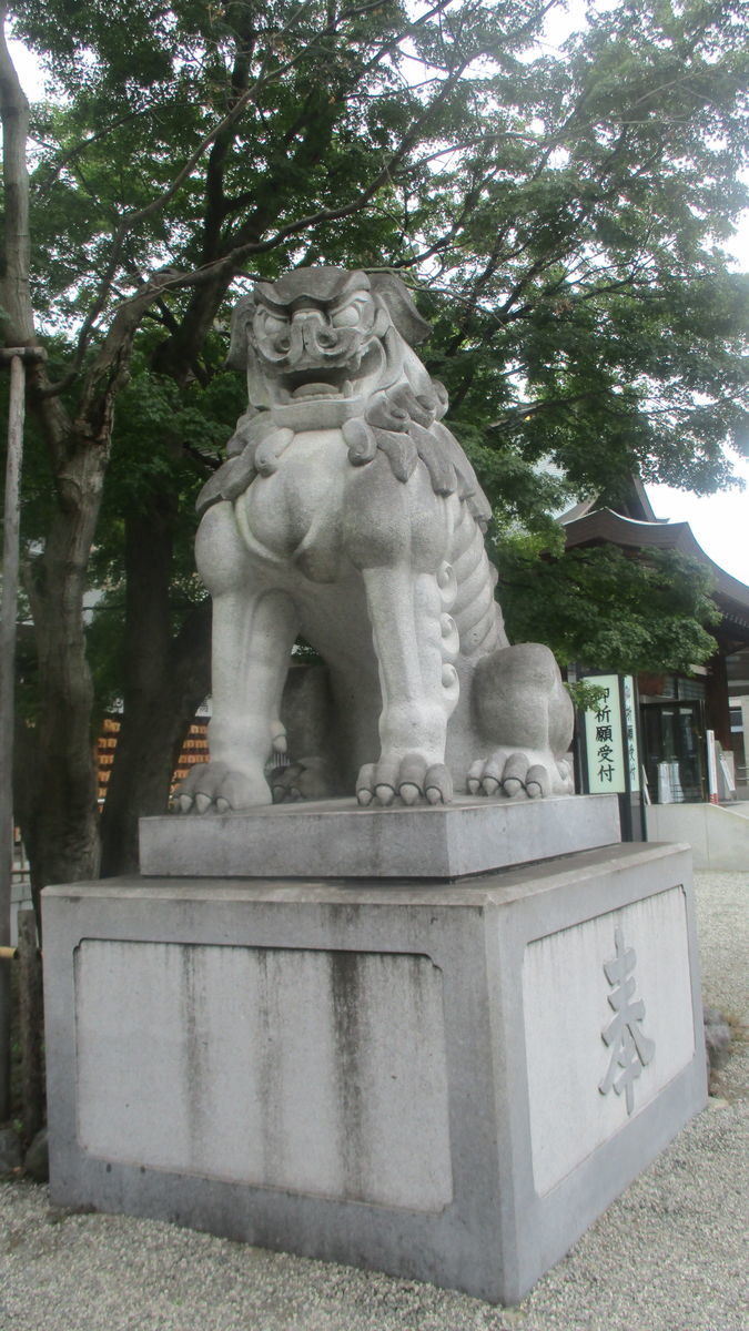 f:id:biso:20190824080616j:plain