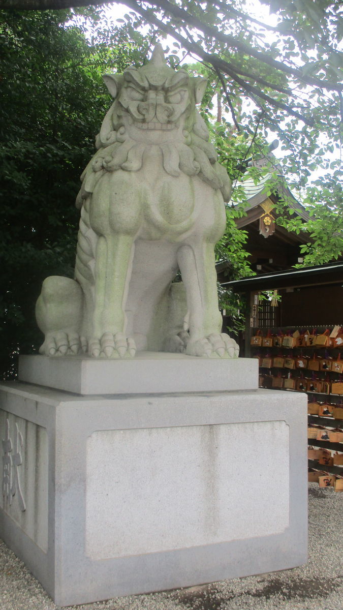 f:id:biso:20190824080643j:plain