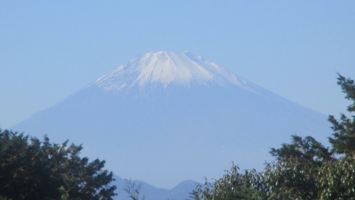 f:id:biso:20191120071347j:plain f:id:biso:20191120071347j:plain