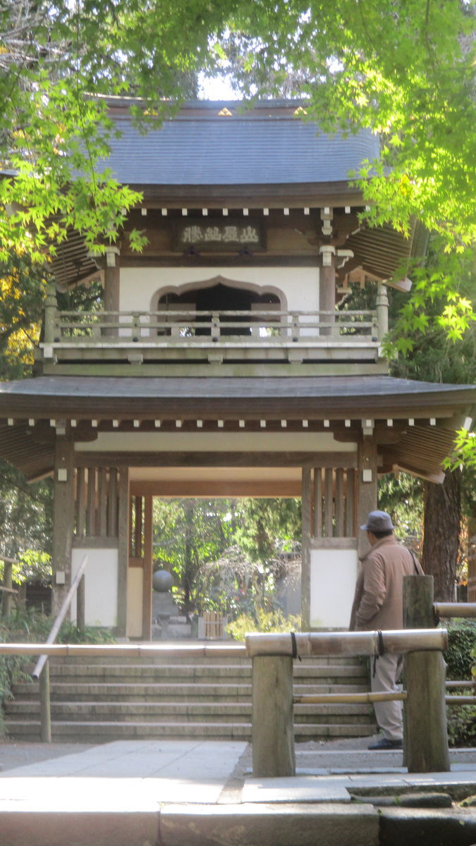 f:id:biso:20191206071601j:plain