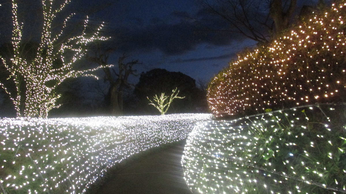 f:id:biso:20191219071457j:plain