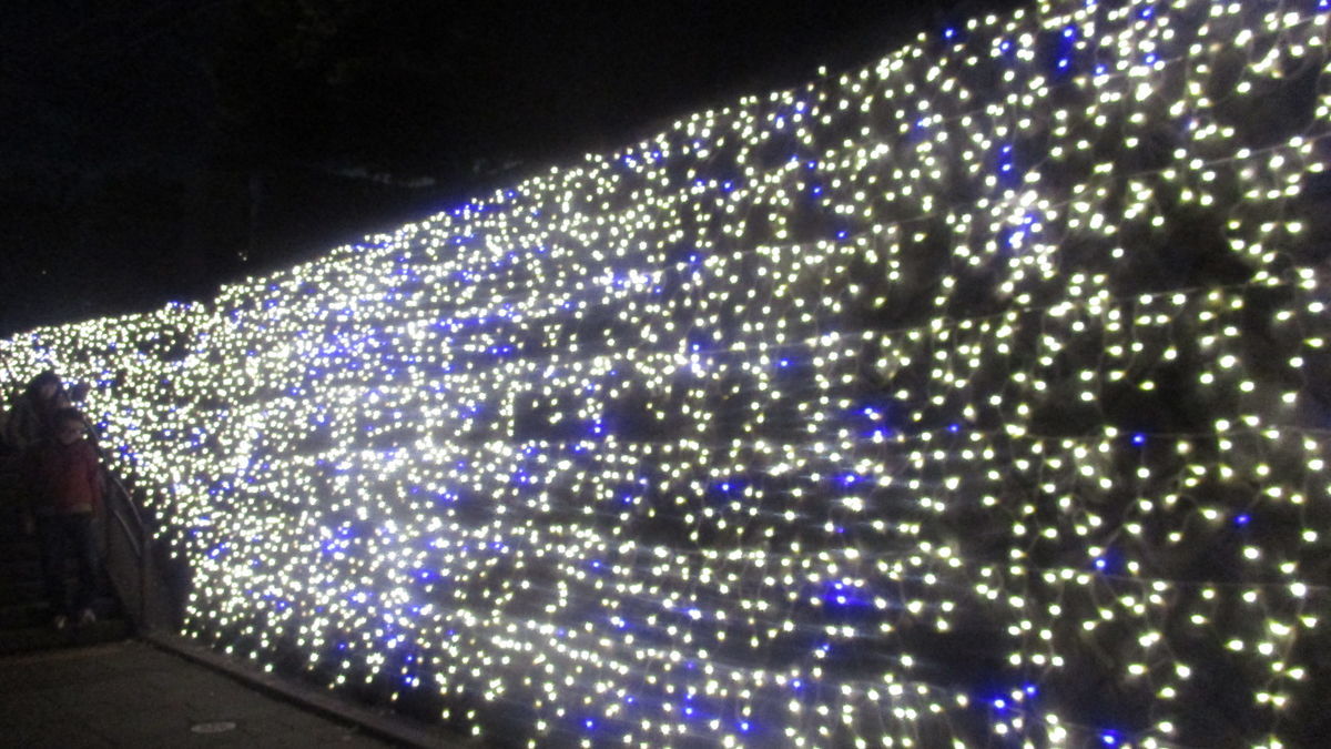 f:id:biso:20191219071927j:plain