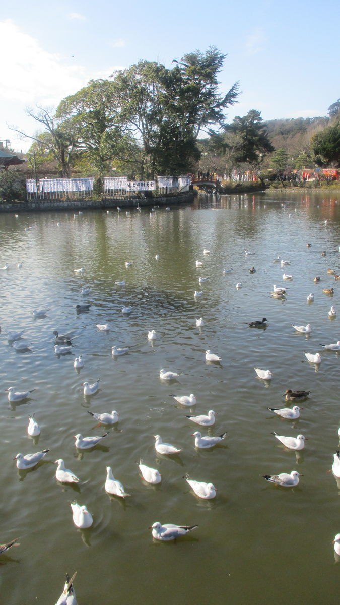 f:id:biso:20200106080516j:plain