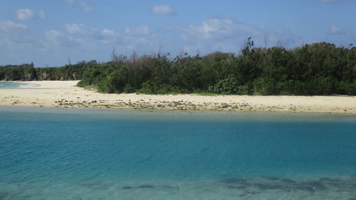 f:id:biso:20200205074139j:plain