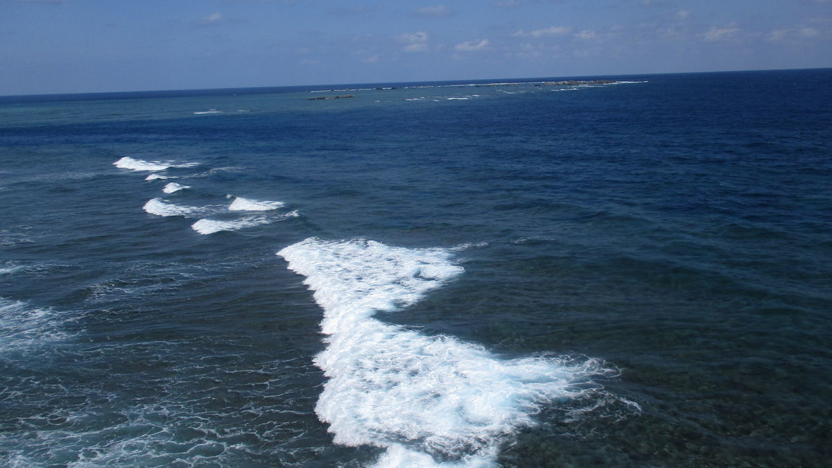 f:id:biso:20200205075252j:plain