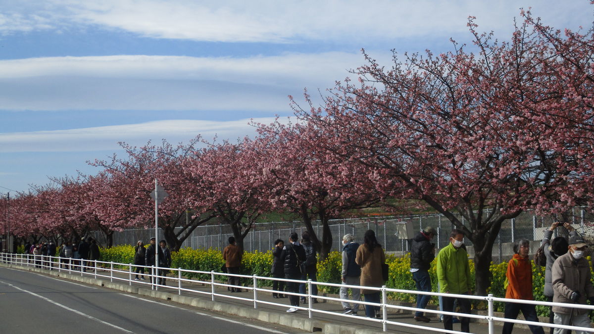 f:id:biso:20200213071415j:plain