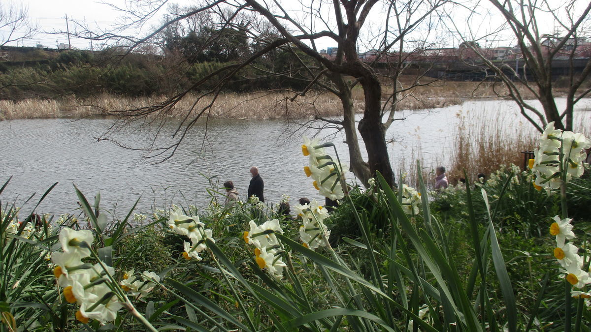 f:id:biso:20200213071815j:plain