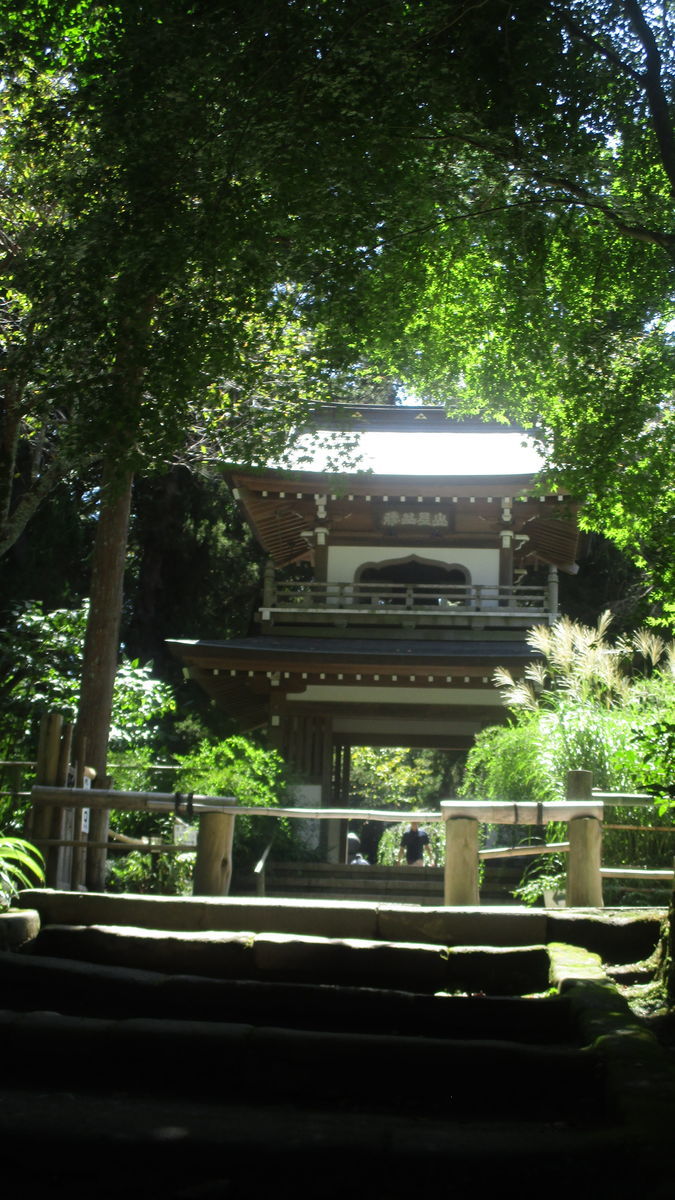 f:id:biso:20200910071257j:plain