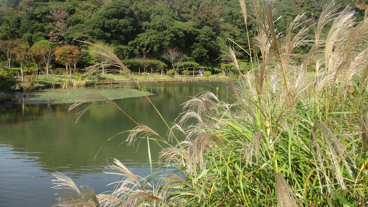 f:id:biso:20201031092613j:plain