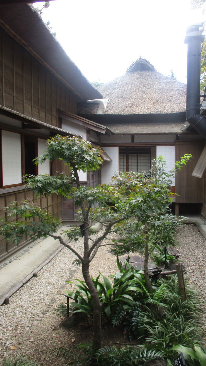 f:id:biso:20201112071039j:plain