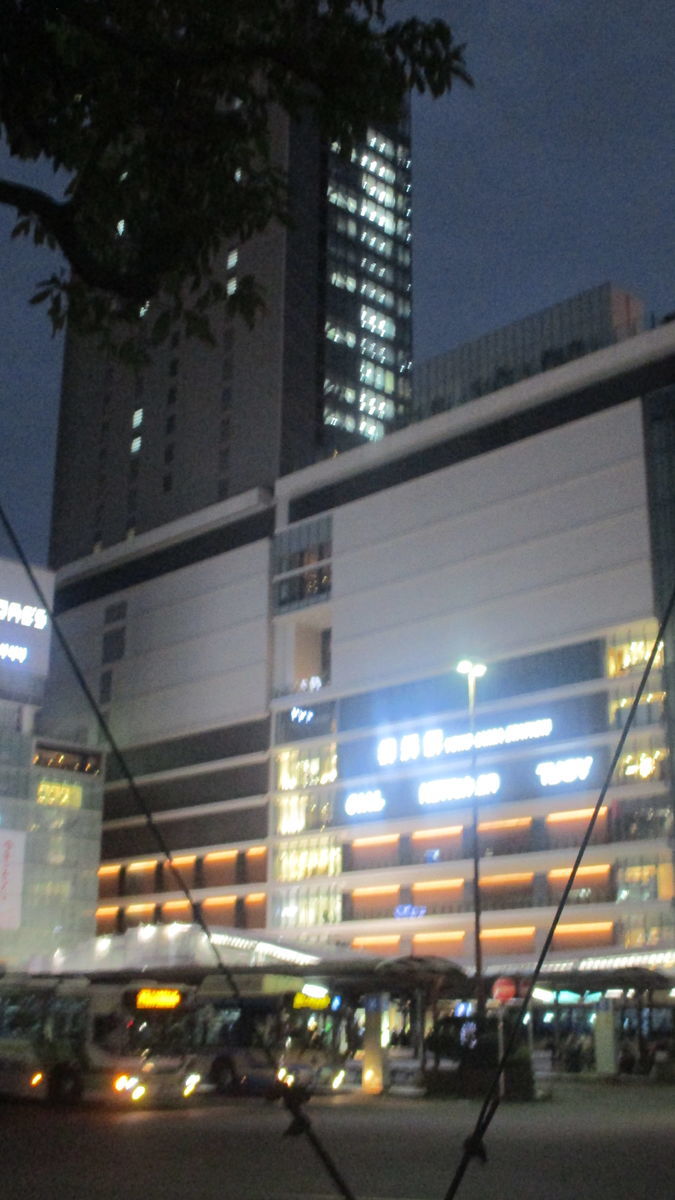 f:id:biso:20201215071615j:plain