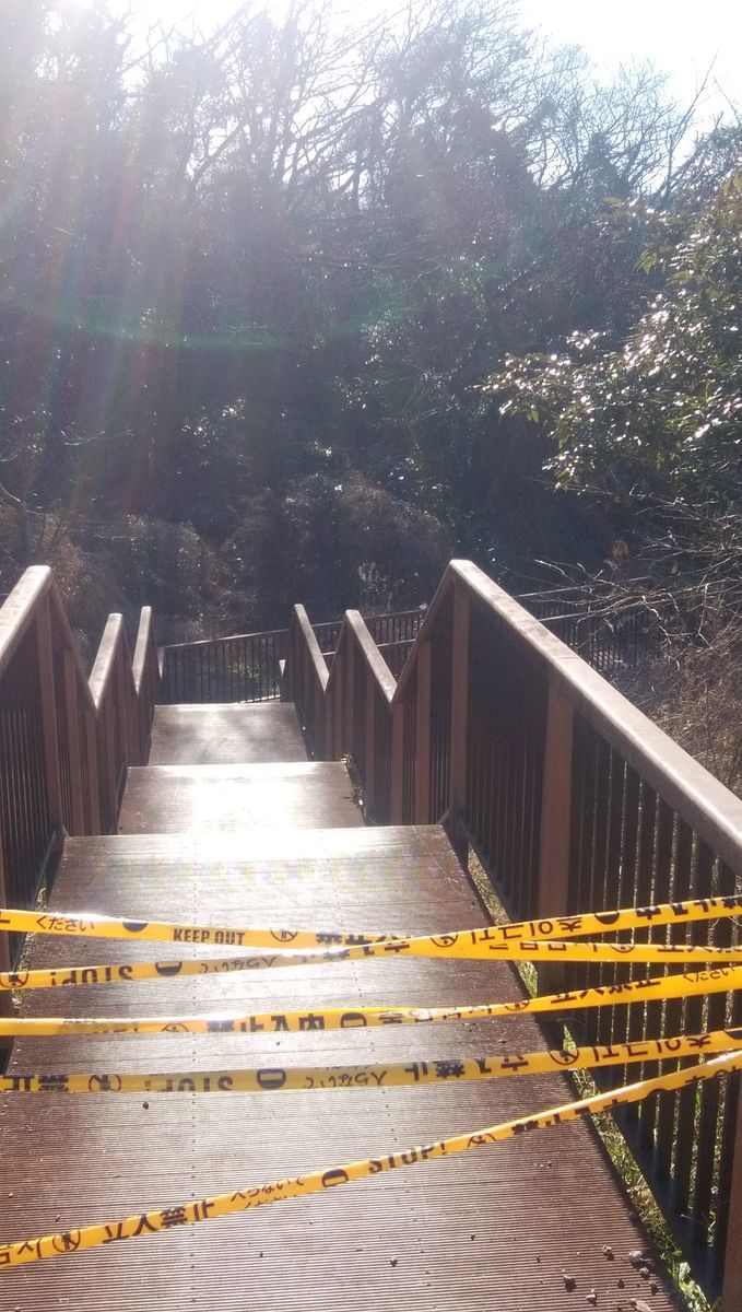 f:id:biso:20210212071336j:plain