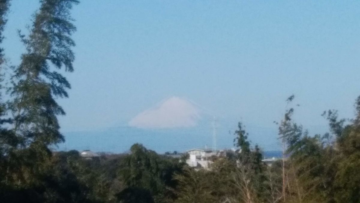 f:id:biso:20210212071500j:plain